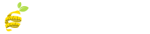Diet Maestro Logo